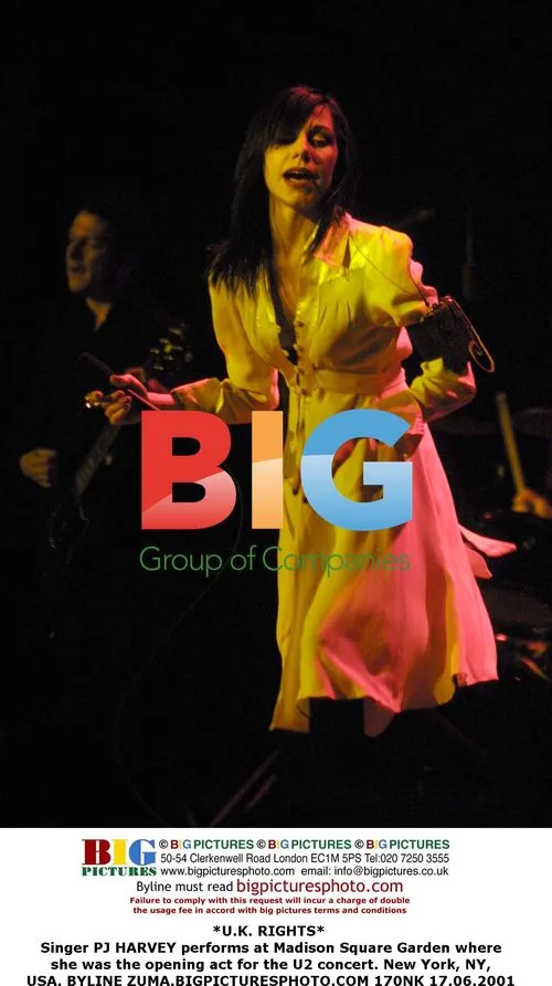 PJ HARVEY at U2 concert in NYC