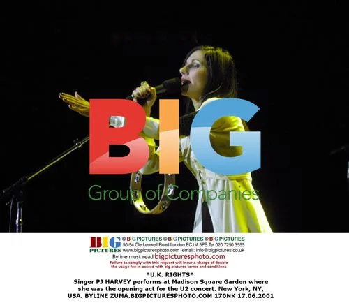 PJ HARVEY Performs at U2 Concert
