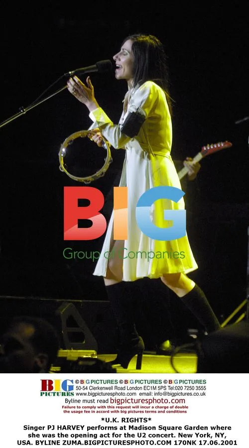 PJ HARVEY performs at U2 concert