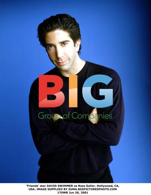 DAVID SWIMMER as Ross Geller