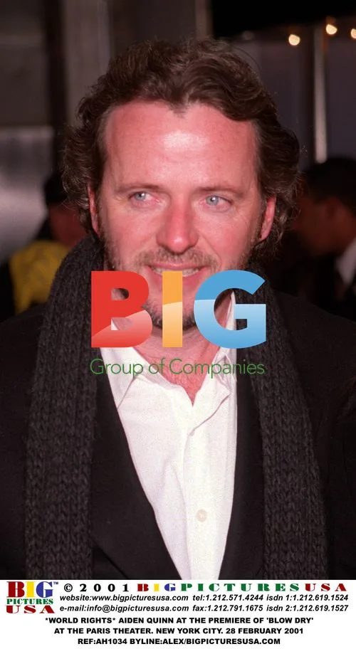 Aiden Quinn at 'Blow Dry' Premiere in NYC