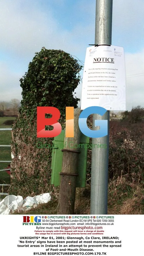 Foot-and-Mouth Disease Quarantine in Ireland