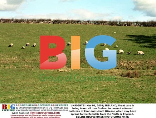 Foot-and-Mouth Disease Outbreak Feared in Ireland