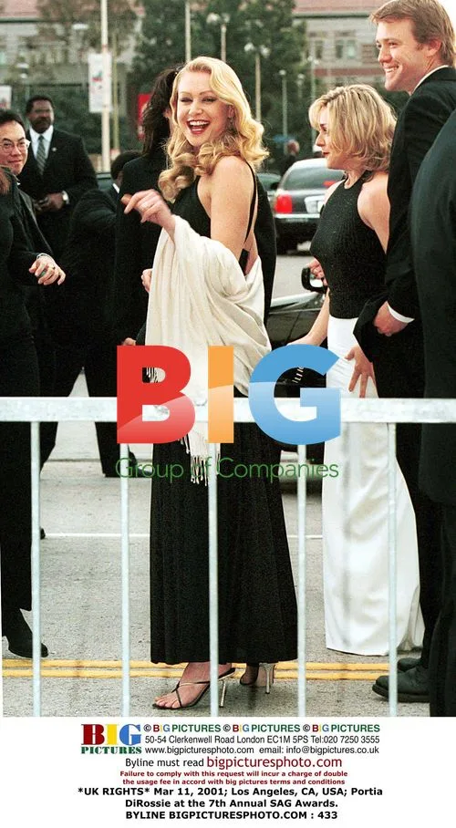 Portia DiRossie at the 7th Annual SAG Awards
