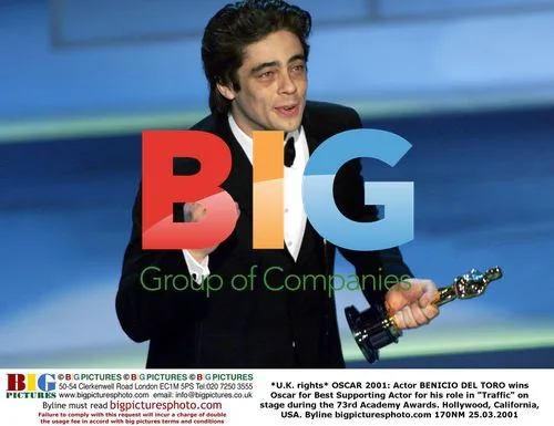 Benicio Del Toro Wins Oscar for "Traffic"