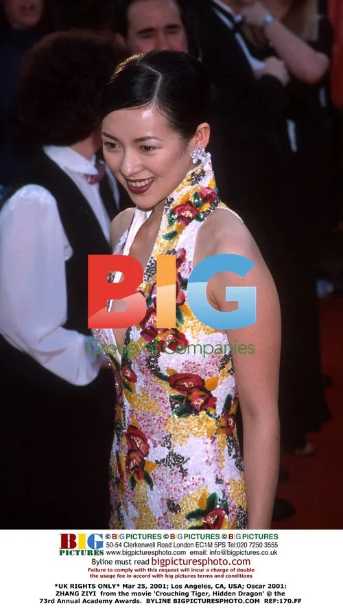 Zhang Ziyi at the 2001 Oscars