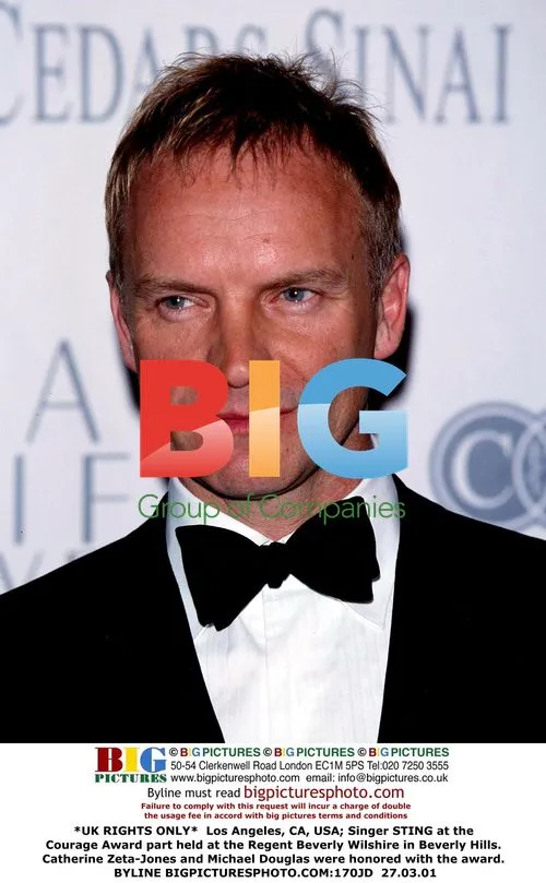 Sting at Courage Award Event
