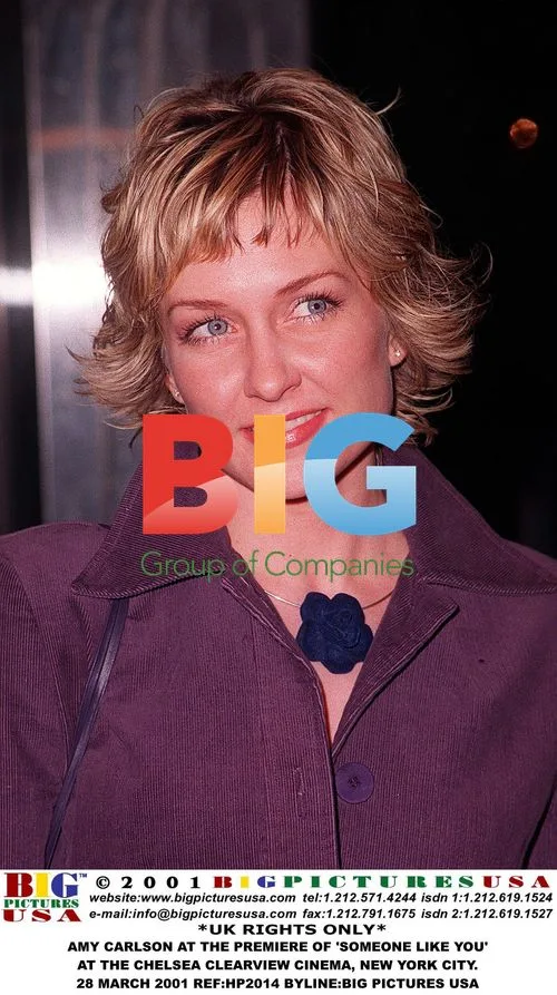 Amy Carlson at 'Someone Like You' Premiere