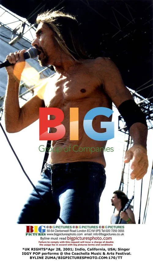 Iggy Pop performs at Coachella Festival