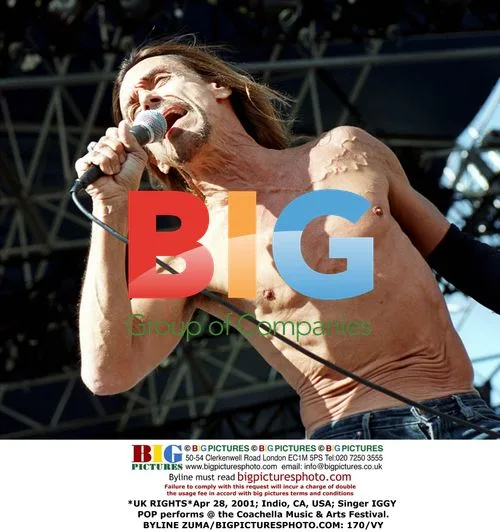 Iggy Pop Performs at Coachella Music Festival