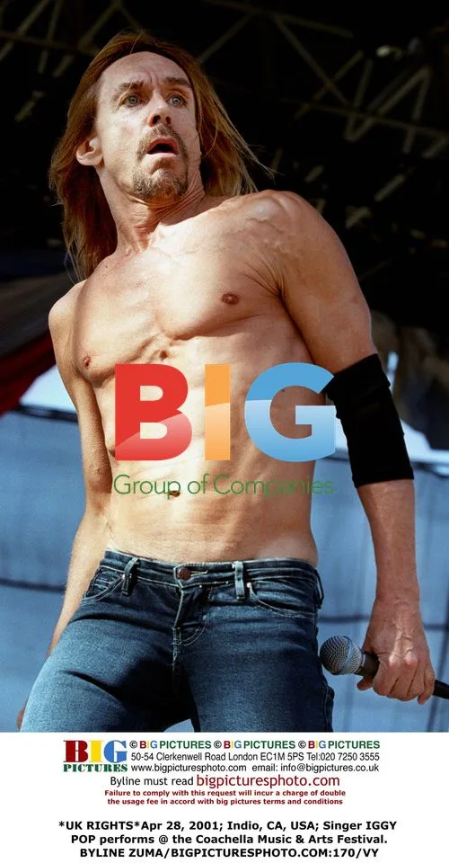 Iggy Pop Performs at Coachella Festival
