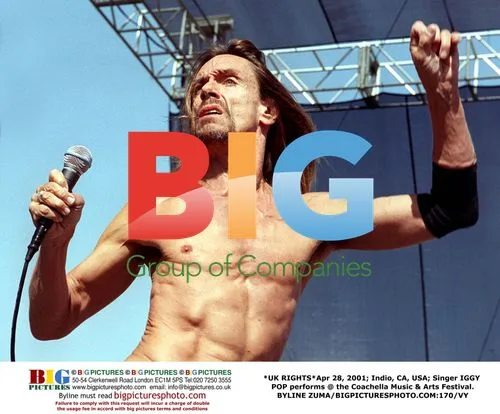 Iggy Pop performs at Coachella Music Festival