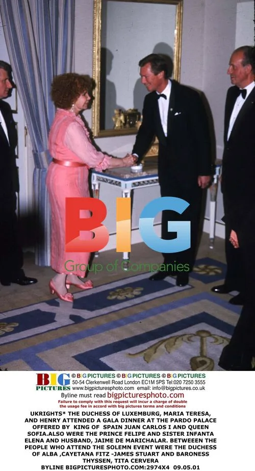DUCHESS OF LUXEMBURG AND ROYALS AT GALA DINNER