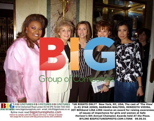 The View Stars Receive Safe Horizon Award