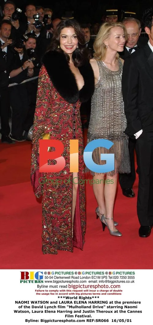 Naomi Watson and Laura Elena Harring at "Mulholland Drive" Premiere