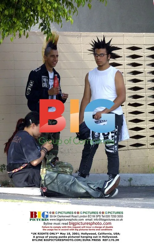 Young punks hanging out in Hollywood