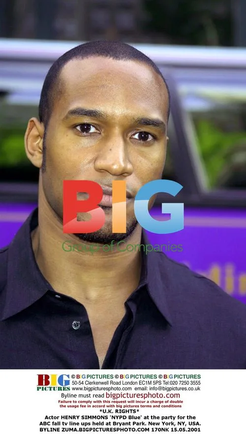 Henry Simmons at ABC party in NYC