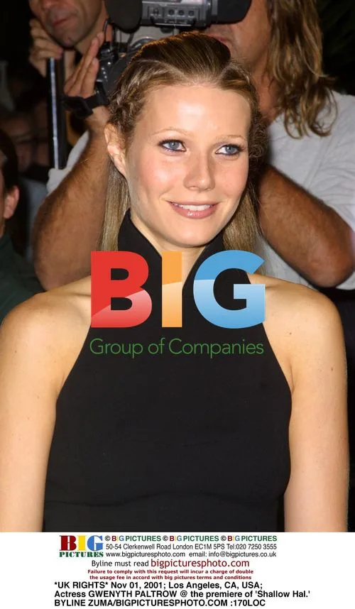 Gwenyth Paltrow at 'Shallow Hal' Premiere