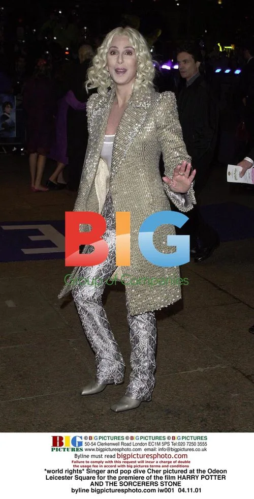Cher Attends Harry Potter Premiere