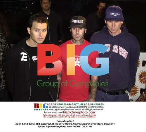 Blink 182 at 2001 MTV Music Awards