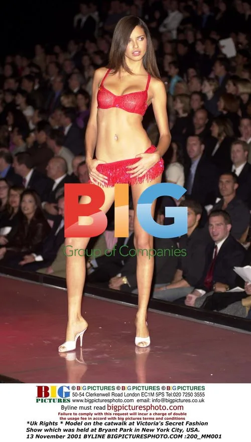 Victoria's Secret Fashion Show 2001