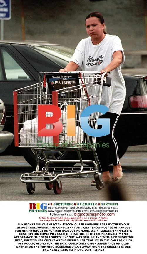 Roseanne Barr Struggles With Shopping