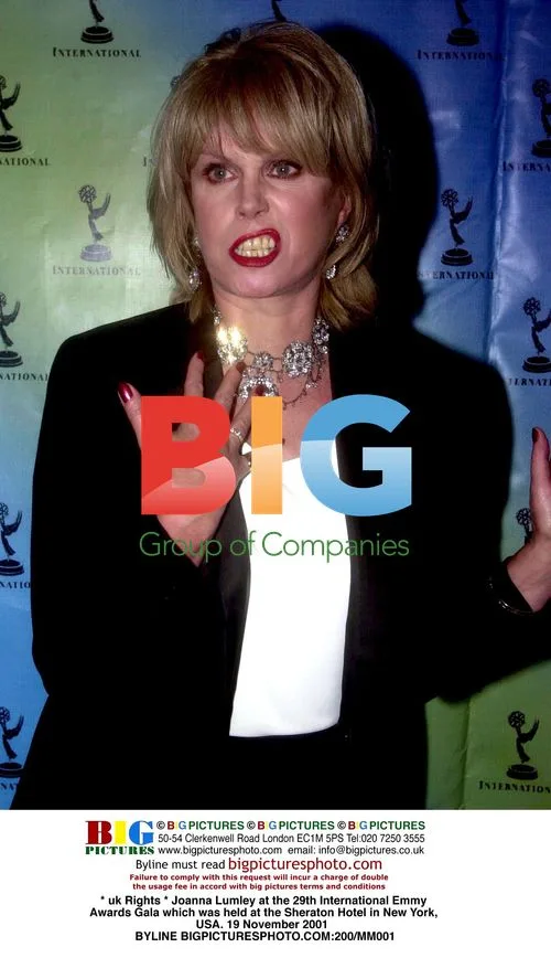 Joanna Lumley at 29th International Emmy Awards