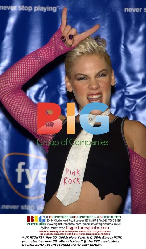 PINK promotes 'Misundaztood' CD