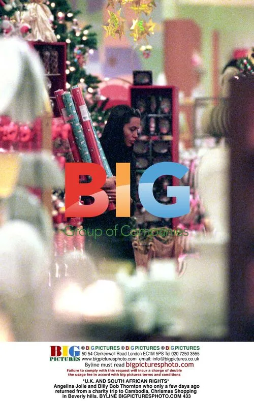 Angelina Jolie and Billy Bob Thornton Christmas Shopping