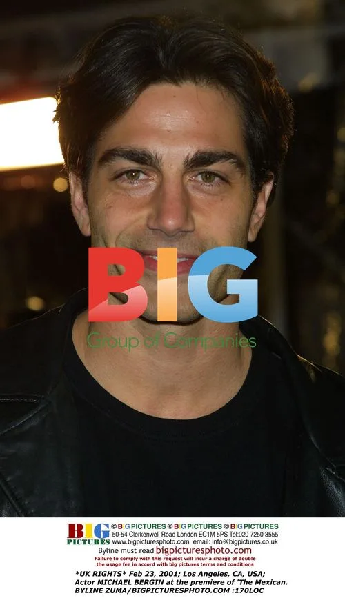 Michael Bergin at 'The Mexican' premiere