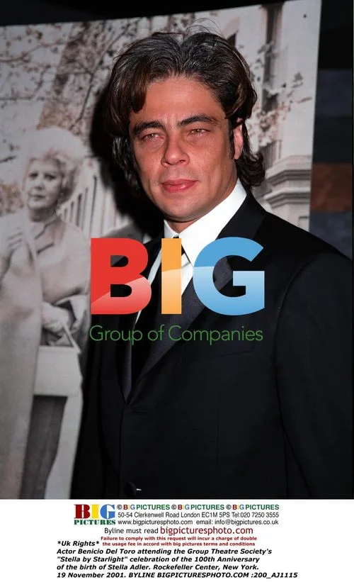 Benicio Del Toro at 'Stella by Starlight' event