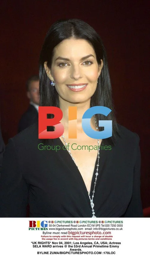 Sela Ward Arrives at 53rd Emmy Awards