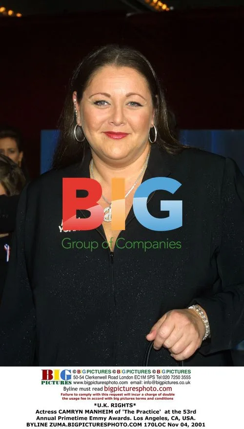 Camryn Manheim at 53rd Primetime Emmy Awards