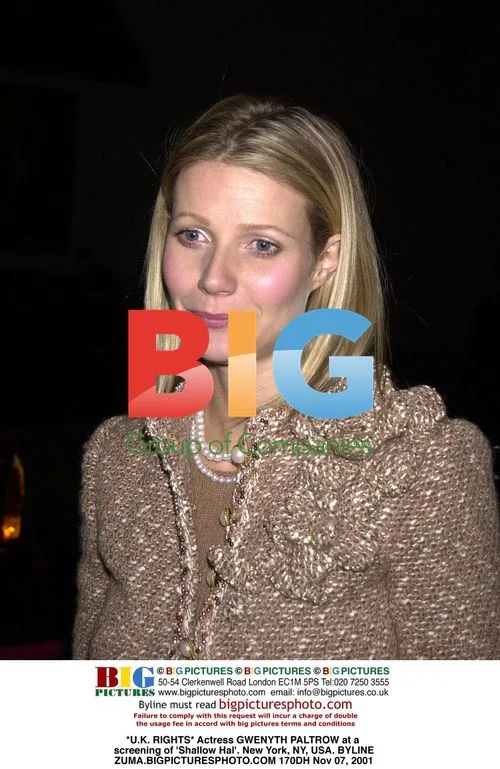 Gwenyth Paltrow at 'Shallow Hal' Screening