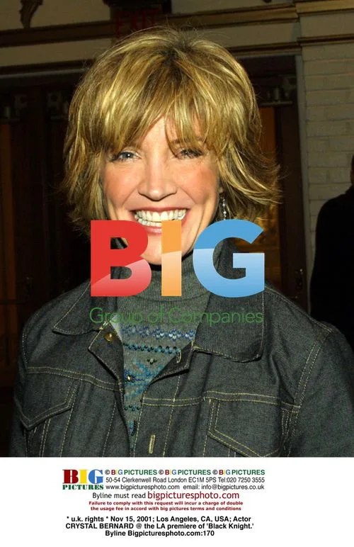 Crystal Bernard at LA 'Black Knight' Premiere