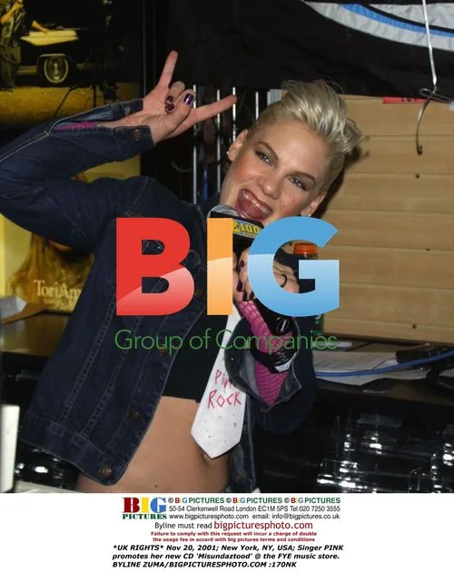 PINK promotes new CD 'Misundaztood'