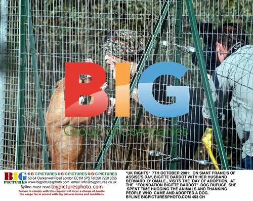 Brigitte Bardot Visits Dog Refuge on Saint Francis Day