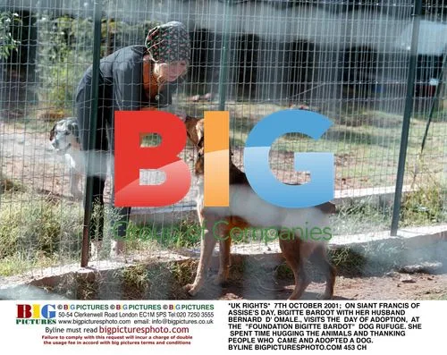 Brigitte Bardot Visits Dog Refuge