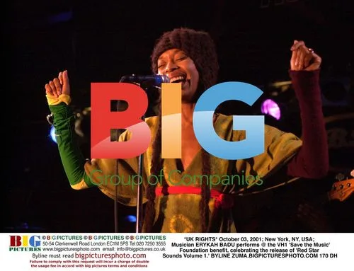 ERYKAH BADU performs at VH1 'Save the Music' benefit