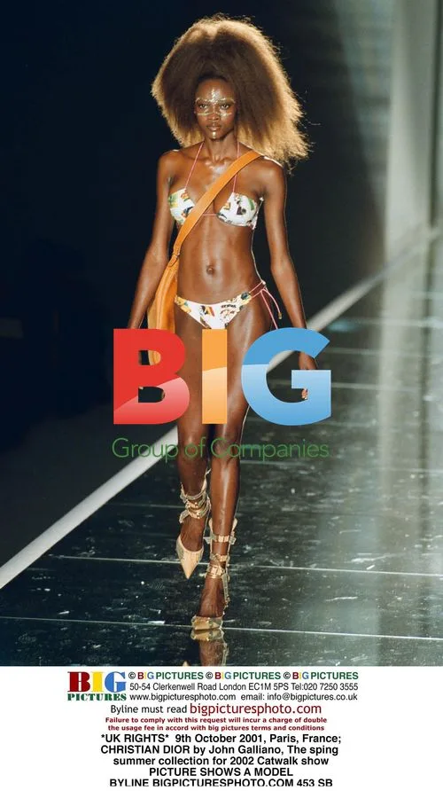 Dior Spring/Summer 2002 Catwalk Show