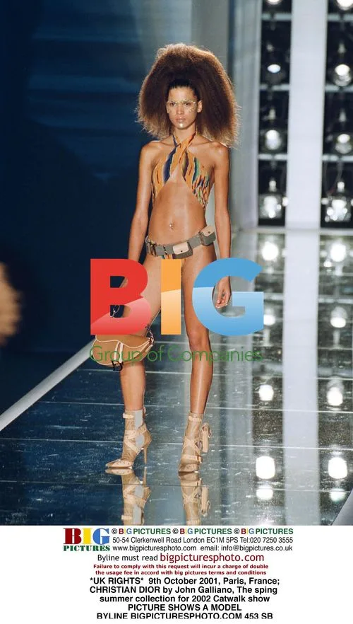 DIOR Spring/Summer 2002 Catwalk Show