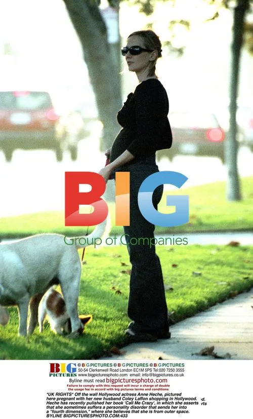 Anne Heche Pregnant Shopping