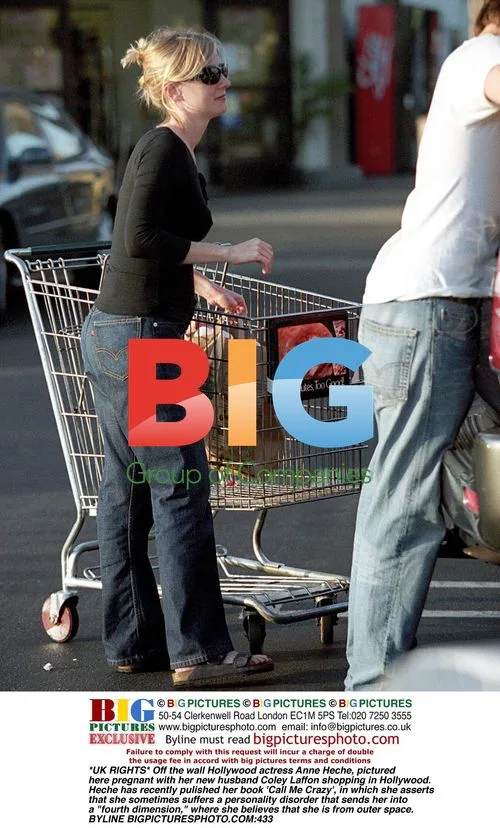 Pregnant Anne Heche Shopping in Hollywood