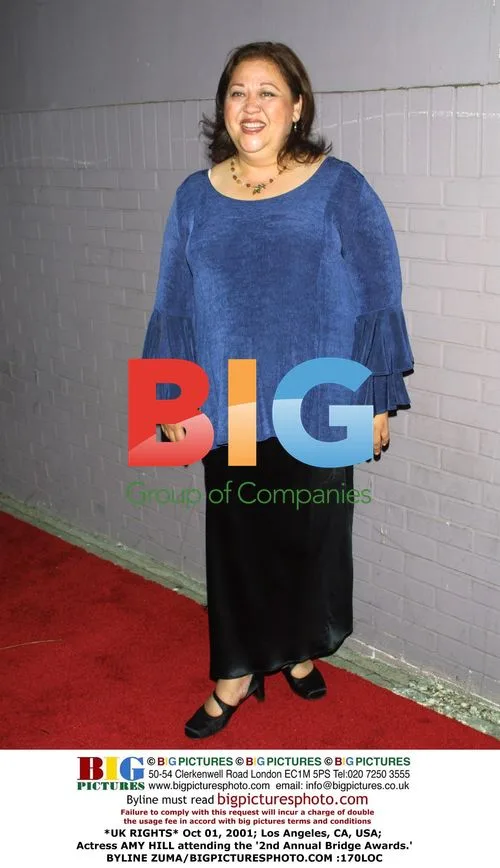 Amy Hill at 2nd Annual Bridge Awards