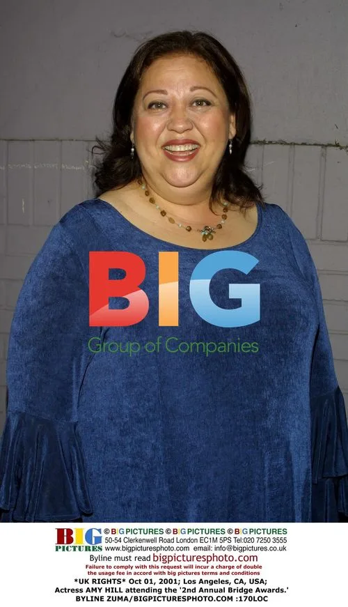 Actress Amy Hill at 2nd Annual Bridge Awards