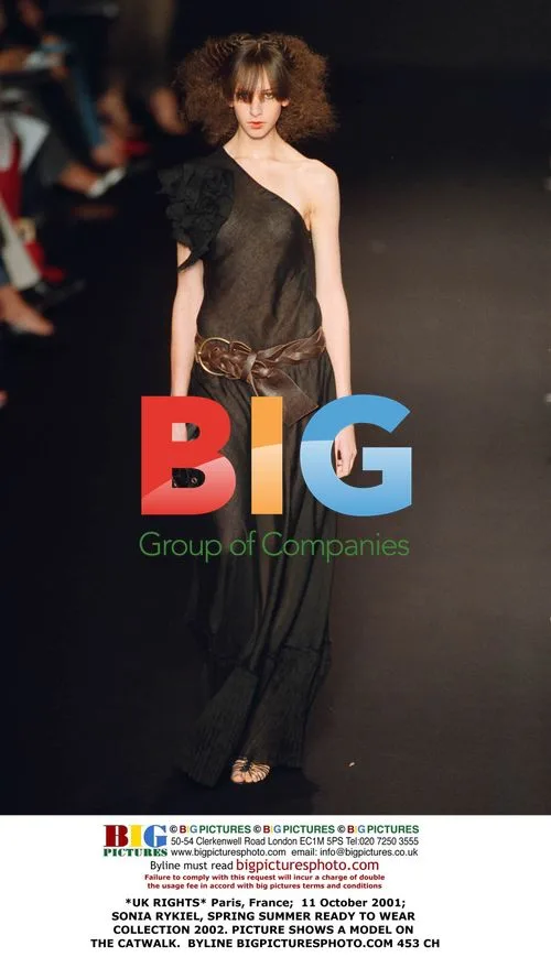 Sonia Rykiel Spring Summer 2002 RTW
