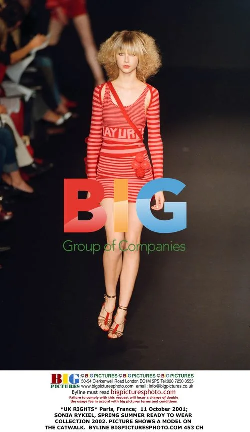 Sonia Rykiel Spring/Summer 2002 Fashion Show