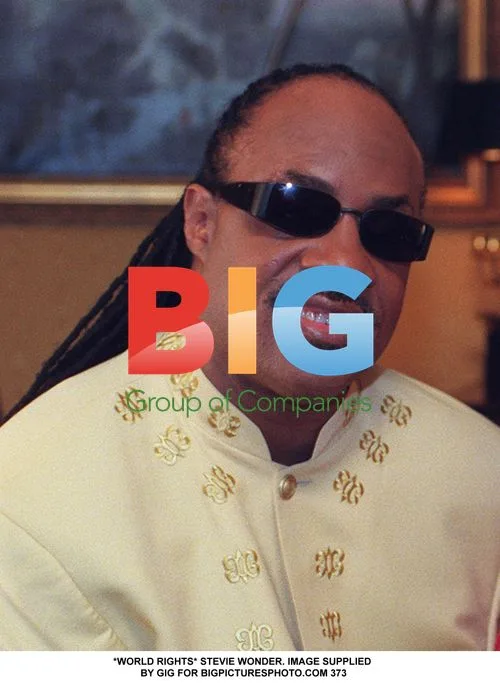 Stevie Wonder Headshot