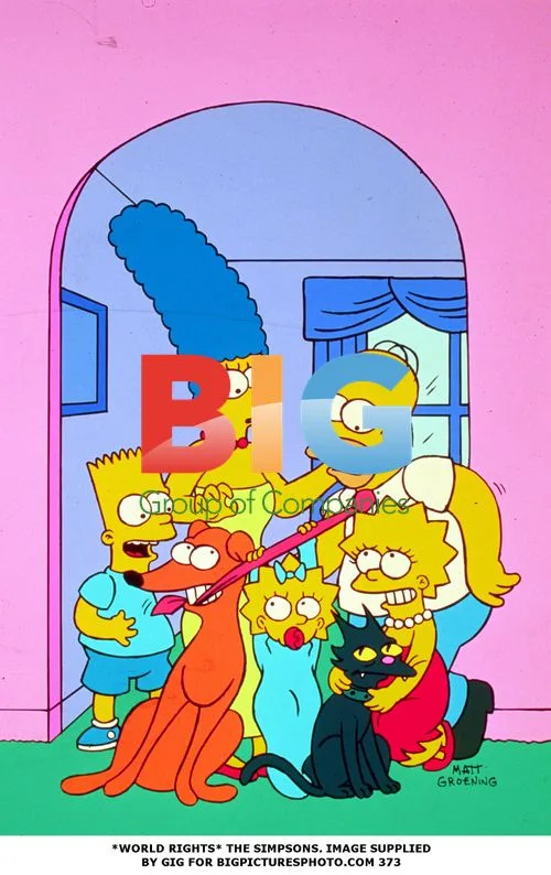 The Simpsons Family Portrait