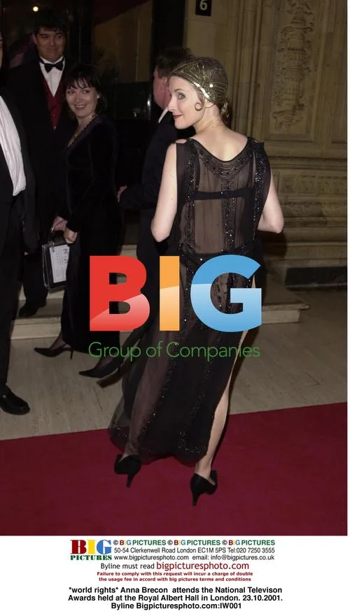 Anna Brecon at National TV Awards
